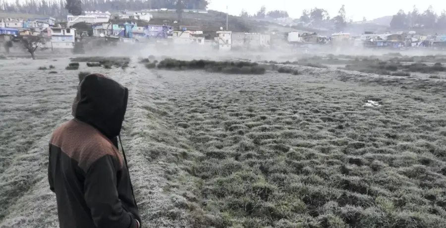 Ooty temperature: Ooty Turns White As Temp Drops To Zero - Vimarsana News