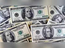 Dollar headed for second weekly gain on tempered rates outlook