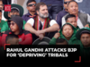 'Congress calls you adivasis, BJP calls you vanvasis': Rahul Gandhi to tribals in Assam's Majuli