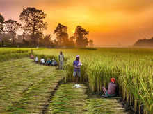 What Budget can sow on the farmland to get a vibrant Bharat:Image