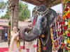 Tamil Nadu: PM Modi receives blessings from Sri Ranganathaswamy Temple elephant