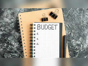 Why Budget 2024 may set modest tax revenue targets for FY25