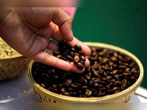 FILE PHOTO: A visitor checks coffee beans at the 'International Coffee Festival 2007' in the southern Indian city of Bangalore