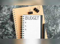 Interim Budget 2024: Top 4 stocks from budget themed portfolio scan that could give 16-20% return