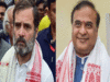 Assam CM Himanta Biswa Sarma asks police to file case against Rahul Gandhi for provoking crowd