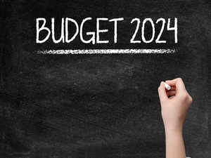 Budget 2024: ITR portal should be made more user-friendly including tax notice intimation; voices industry experts