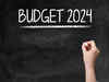 ?Budget 2024: ITR portal should be made more user-friendly including tax notice intimation; voices industry experts