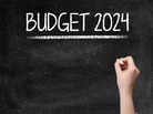 ​Budget 2024: ITR portal should be made more user-friendly including tax notice intimation; voices industry experts