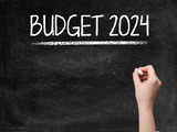 Budget 2024: Experts suggest ITR portal be improved 1 80:Image