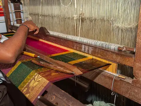 Tribute to saree