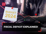 Union Budget 2024: What is a budget gap? How does the govt fill it? 1 80:Image