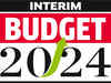 Interim Budget: Capex & R&D push, simplified taxes top India Inc's wishlist