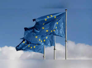 European Union  flag