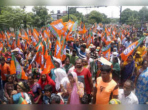 Bharatiya Janata Party (BJP) supporters