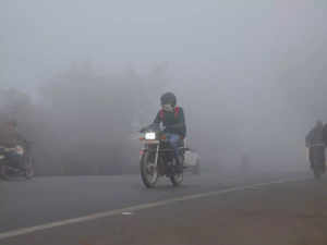 IMD issues dense fog alert for northwest, parts of adjoining central India for another 3-4 days
