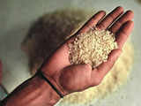 Here's what is keeping rice on the boil