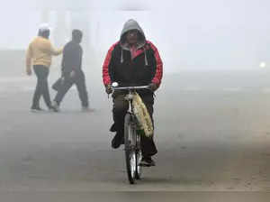 Delhi records 4.8 as minimum temp, AQI 'very poor'