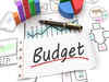 Budget 2024: Finding the sweet spot for VDA tax