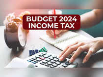 Budget 2024: Finding the sweet spot for VDA tax