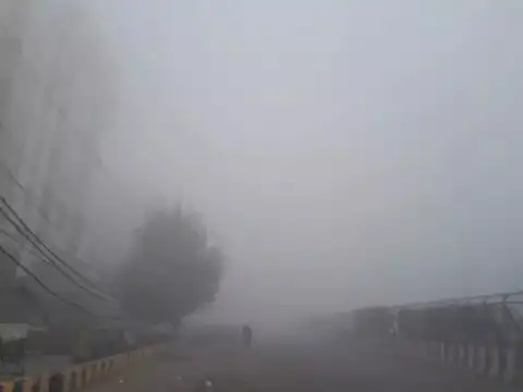 Foggy