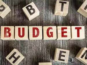 Interim Budget may be a non-event but not for all stocks. Here's why