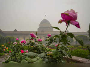 New Delhi: Flowers in bloom at 'Amrit Udyan' on the premises of the Rashtrapati ...