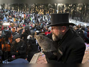 Groundhog Day 2024: How accurate is Punxsutawney Phil's prediction?