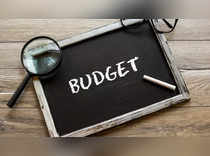 Interim Budget 2024 picks