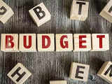 Budget stocks: Keep these 37 ideas on your watchlist during Nirmala Sitharaman's speech 1 80:Image