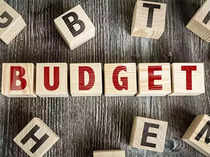 Budget stocks: Keep these 37 ideas on your watchlist during Nirmala Sitharaman's speech