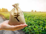 Govt allocates Rs 1.64 lk cr towards fertiliser subsidy for FY25 in Budget, 13% lower YoY