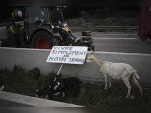 Europe Farmers Protests