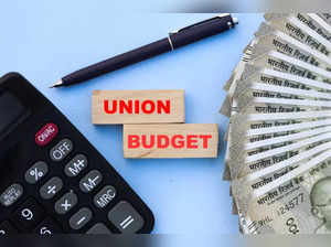 Social Justice ministry allocated Rs 14,225 crore in interim budget