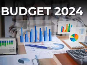 Here’s what industry captains of domestic manufacturing have to say about Budget 2024