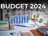 Here’s what industry captains of domestic manufacturing have to say about Budget 2024