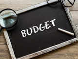 Interim Budget: Road to reforms to go through states 1 80:Image
