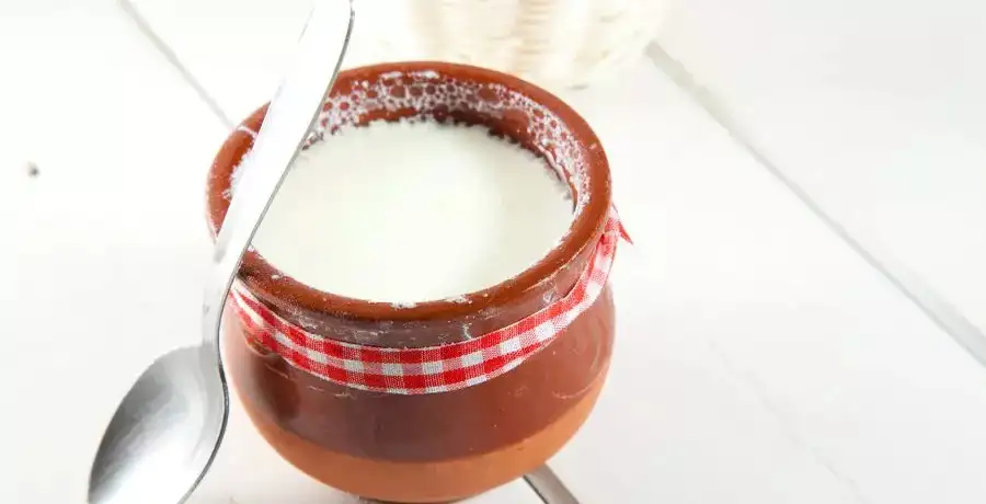 Secret behind having dahi-shakkar before leaving the house - Vimarsana News