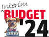 View: Fantastic Interim budget, awaiting July for Viksit Bharat 2047 plan