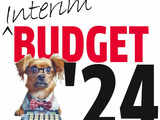 View: Fantastic Interim budget, awaiting July for Viksit Bharat 2047 plan 1 80:Image