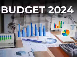 India Budget 2024: Season 2 Finale Episode ends on a high note:Image