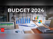 India Budget 2024: Season 2 Finale Episode ends on a high note