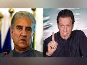 Imran and Qureshi accorded status of high-profile prisoners, to perform prison labour: Report