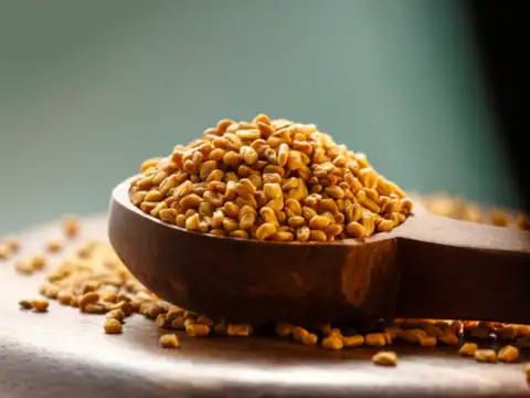 Fenugreek