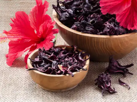 Hibiscus