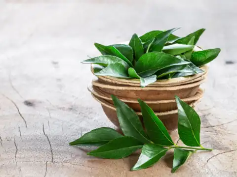 Curry leaves 