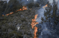 How climate change contributes to wildfires like Chile's