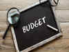 Lok Sabha passes Finance Bill, completes exercise for interim budget 2024-25