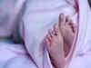 Newborn found dead in Noida Residential society's dustbin: Police probe underway
