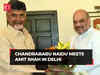 TDP chief Chandrababu Naidu meets Amit Shah in Delhi