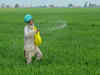 Govt provides nearly Rs 1.71 lakh cr as fertiliser subsidy till Jan in 2023-24